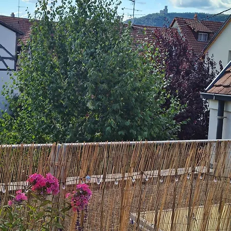 Au Cœur Du Vignoble Alsacien Appartement